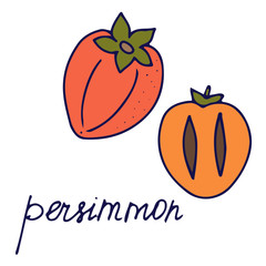 Hand drawn vector isolated food icon. Color fill illustration of exotic  fruit. Persimmon icon. 