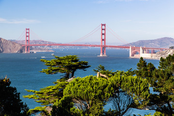 Golden Gate Brücke mit grünen Kiefern in Vordergrund 
