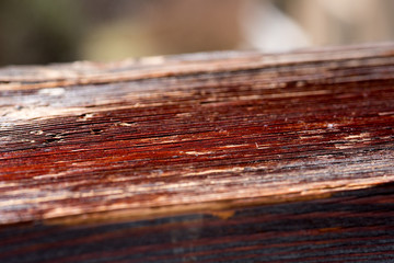 una tavola di legno antico e le sue splendide sfumarure