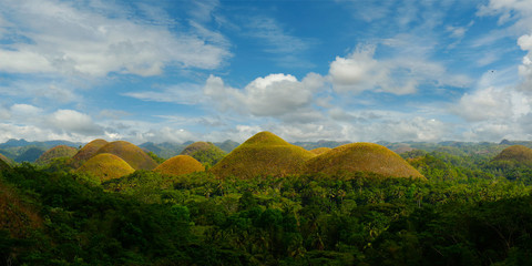 Chocolate hills landscape in Bohol island -Philippines 