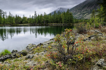 On the shore of a mountain lake, stones, hummocks and forest. cloudy day with reflection, natural light