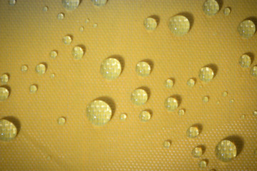 fresh water drop on yellow background