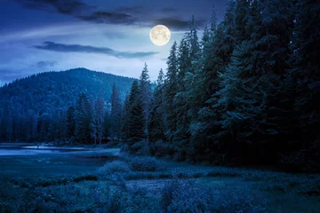 Papier Peint photo Lavable Pleine lune paysage d& 39 été du lac la nuit. beaux paysages parmi la forêt dans les montagnes à la lumière de la pleine lune