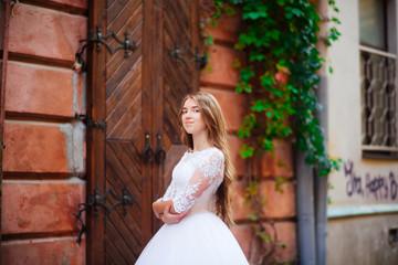 Fototapeta premium Wedding. Beautiful bride