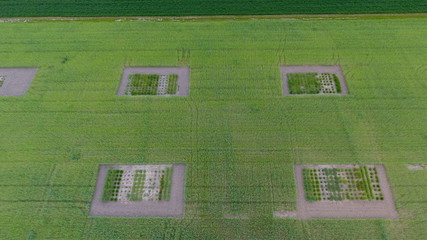 Obraz premium DCIM\100MEDIA\DJI_0078.JPG