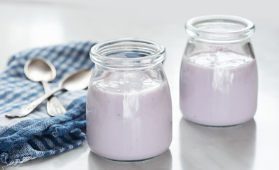 Obraz na płótnie Canvas two portions of fresh natural homemade blueberry yogurt