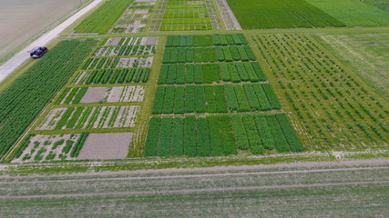 DCIM\100MEDIA\DJI_0102.JPG