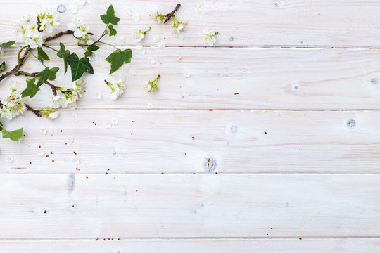White table top with white spring flowers on a branch with green leaves. Spring time flat lay.