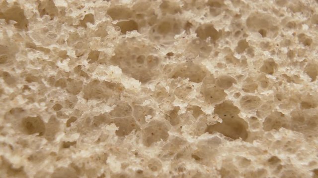 The structure of natural organic porous bread, background macro shot