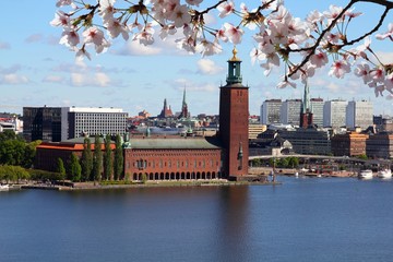 Stockholm city, Sweden. Cherry blossoms spring time.