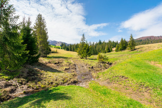 beautiful mountain landscape in springtime. trees on the grassy meadow. small brook in the valley. forested hills on the distant ridge with snow capped tops. idyllic scenery