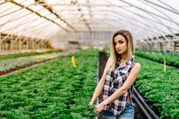 Young woman buying flowers at a garden center (color toned image; shallow DOF)