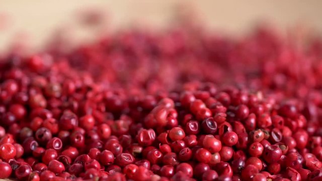 Food spices pink peppercorns red pepper Himalayan pepper berries. concept of fresh and dietary spices for cooking schools vegans and dietary products