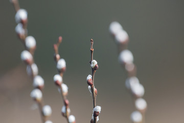 Base Bazie © Rafał Bieroza