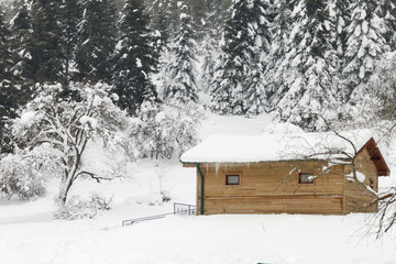 snowed wooden house in the woods