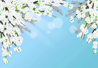 Cherry blossom illustration in full bloom with sunshine and sky blue background.
