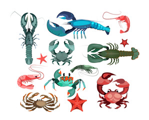 Crustaceans and starfishes set. Sea creature collection. Can be used for topics like seafood, ocean, restaurant