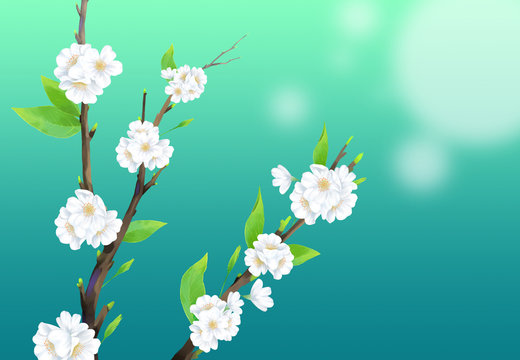 Close-up cherry blossom illustration with dark turquoise color background. © cooltree7