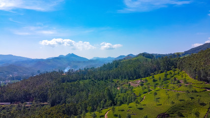 Obraz premium Plantacje herbaty w Munnar, Kerala, Indie. Piękne widoki na zielone wzgórza z błękitnym niebem.