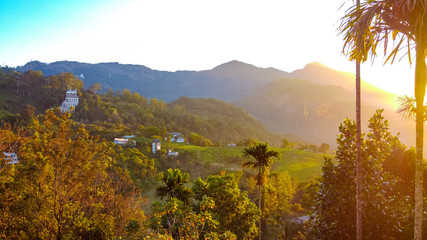 Fototapeta premium Famous, beautifut and ever green hill station, Munnar, in Kerala, South India