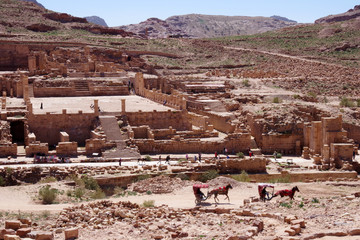 Chevaux au galop devant le temple romain de Pétra