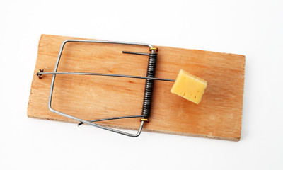 mouse trap with a piece of cheese on a white background close-up