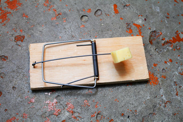 mousetrap with cheese on concrete floor at home