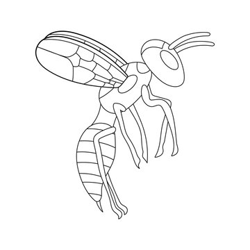 cartoon flying wasp outline. white background isolated vector illustration