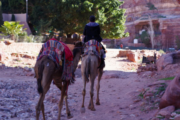 Bédouins à cheval sur le site touristique de Pétra, Jordanie