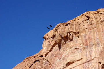 Couple d'oiseau survolant les tombes royales de Pétra, Jordanie
