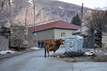 Stepancminda © Grzegorz