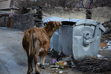 Stepancminda © Grzegorz