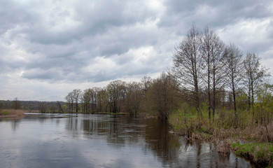 Fototapeta na wymiar Spring scenery with trees, new foliage, grass, river in flood, reflection in the water and a cloudy sky