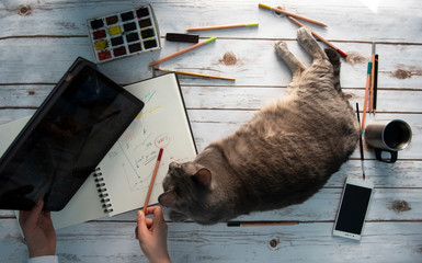 Fototapety na wymiar - Fototapeta24.pl