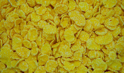 Food background cereal ready for Breakfast.

ready Breakfast, background, food, yellow, grocery, food, cooking, dry, diet