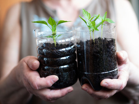 Gardening during Lockdown to fight Coronavirus in Ukraine