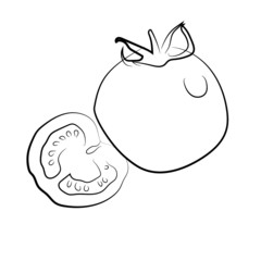 vegetable vector tomato food and vegetables on white background, graphic illustration of food