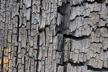 Close up of old ancient cracked wood texture, can be used as Background or Wallpaper