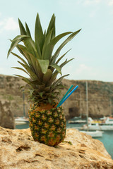 Coctail in pineapple staying on rock on beautiful bay background