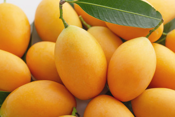 Marian plum closedup