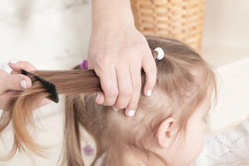 Fototapeta premium mother hands combing a comb little three-year-old girl