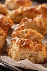 Tasty, fragrant and tender scones with apples from the oven close-up