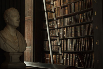 Dark library hall with antique bust and ladder