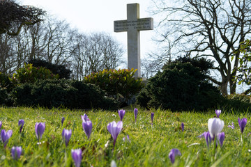 Krokusse, Kreuz