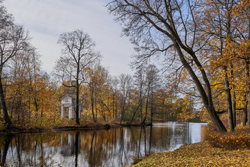 Fototapeta na wymiar autumn landscape in the city park