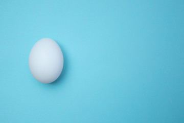 Fresh white egg on blue surface stock photo
