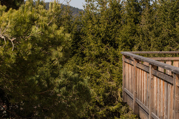 Terrasse bois de Chalet