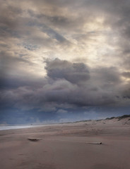 A bamboo pole lying in the sand. Beach seascape