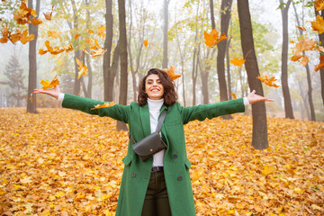 Exciting day in park with yellow leaves everywhere stock photo