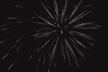 Colorful fireworks on the black sky background.